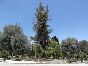 Plaza Eduardo Avaroa