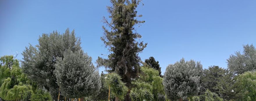 Plaza Eduardo Avaroa