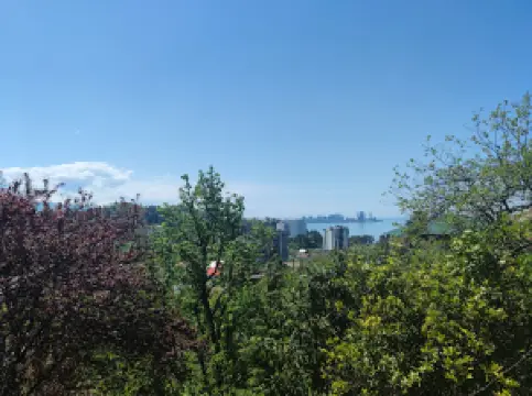 Wildboyz bar and golf