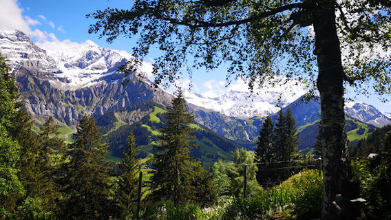 Alpengarten Höreli