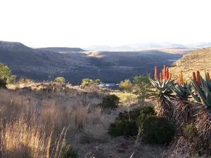 Lalapa Safaris Langverwacht Farm
