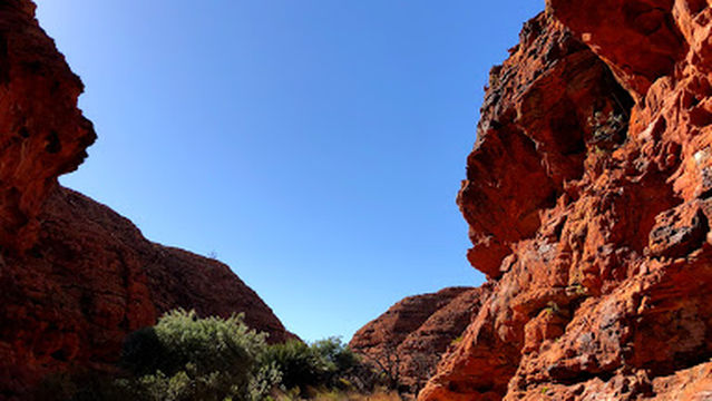 Professional Helicopter Services