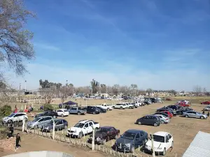 Estadio Cincuentenario