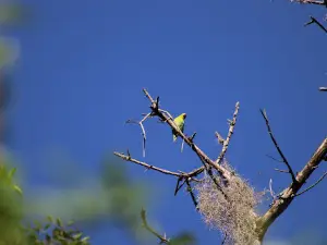 Reserva Los tananeos