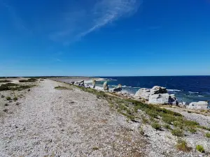 Langhammars Naturreservat (Raukområde)