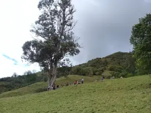 Piedra Grande