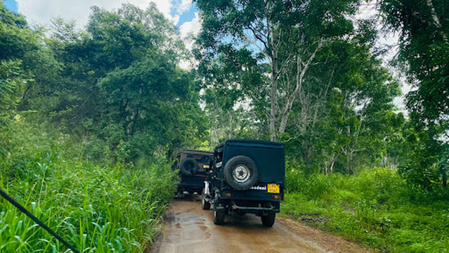 Habarana Elephant Safari