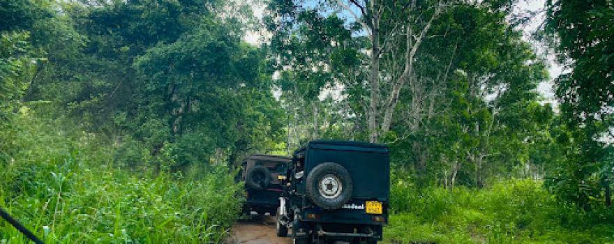 Habarana Elephant Safari