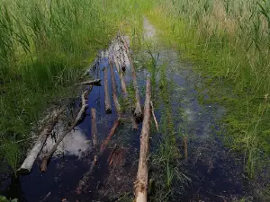 Parika järve matkarada