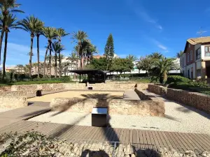 Parc el Palmeral
