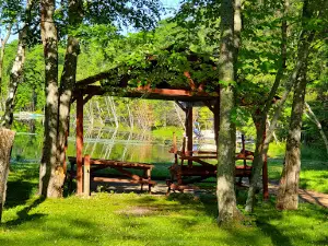 Wildwood Campground