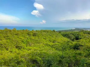 Puncak Batee