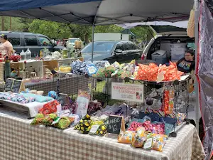Buffalo Gap Flea Market