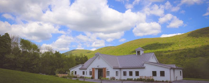 Bloom Meadows