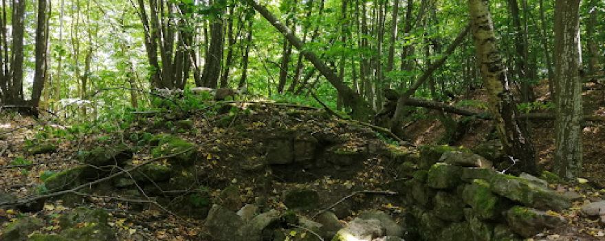 Ruine Steineck