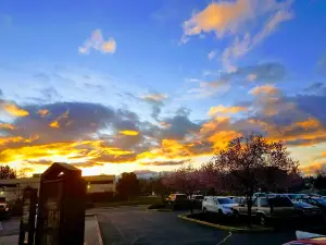 Southgate Cinemas