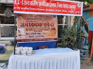 Tribal Shrishti Art Gallery