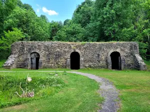 Wine Cellar Park
