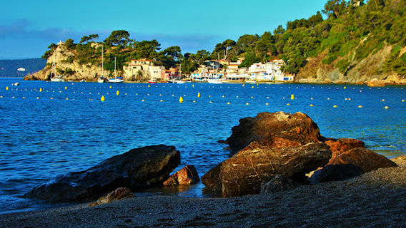 Toulon