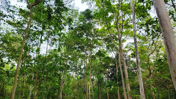 Chantecuán Ecological Park