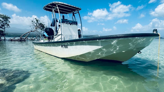 Guillaume Pêche Guadeloupe Guide De Pêche