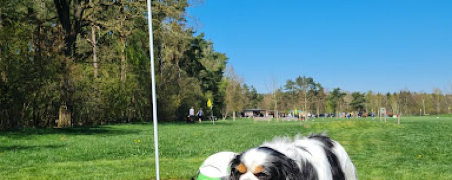 Fussballgolf Emsland