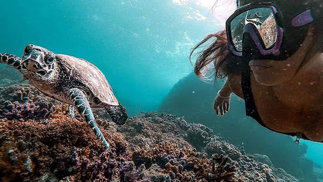 YEMANYÁ | Diving & Snorkeling Expeditions