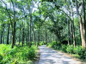 Sonmuda Amarkantak