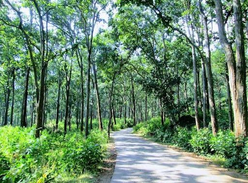 Sonmuda Amarkantak