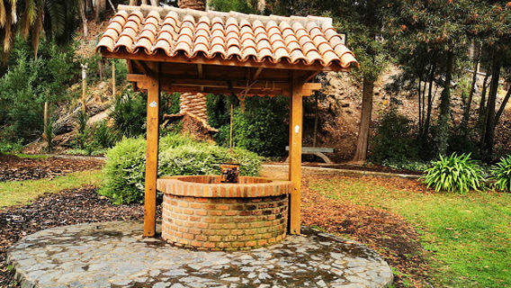 Jardin Japones