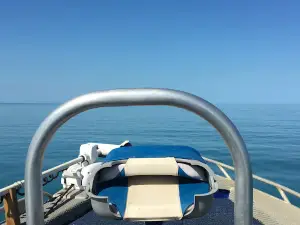 Weipa Fishing Adventures
