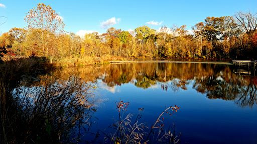 Howell Wetlands