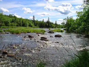 Cloquet River Campground