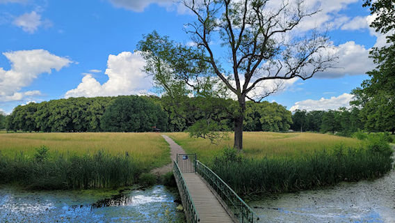 Drottningholm Palace Park