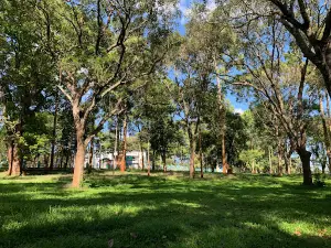 Cultural park Suoi Tre