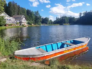 Ebnisee