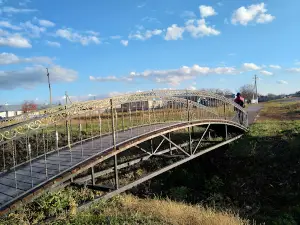 парк ДОРОЖНИК