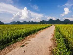 Bac Son Flower Valley