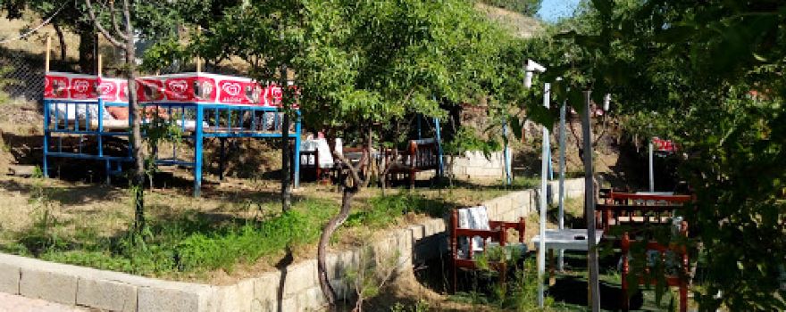Müşüle Badem Bahçesi