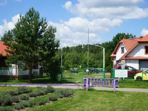 Lavender port