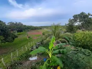 Bom Jardim