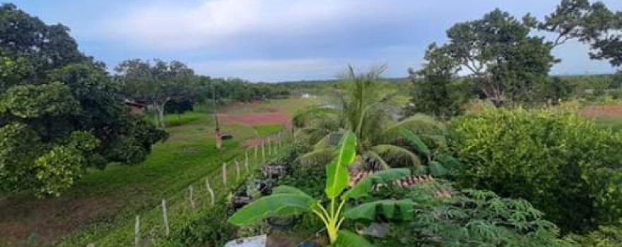 Bom Jardim