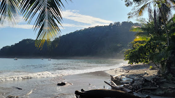 Punta Leona