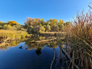 Tisza backwater Nature Trail, Mártély