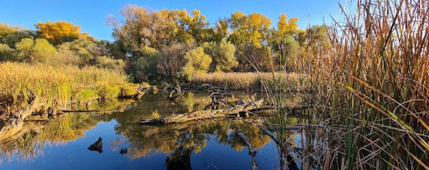 Tisza backwater Nature Trail, Mártély