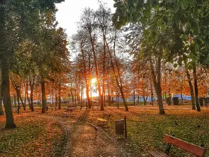 Park Miejski