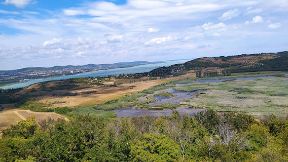 Balatonfuredi
