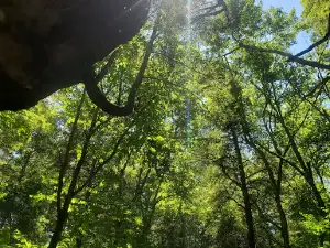 Raven Rocks