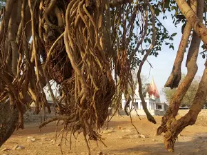 Bairaj Temple