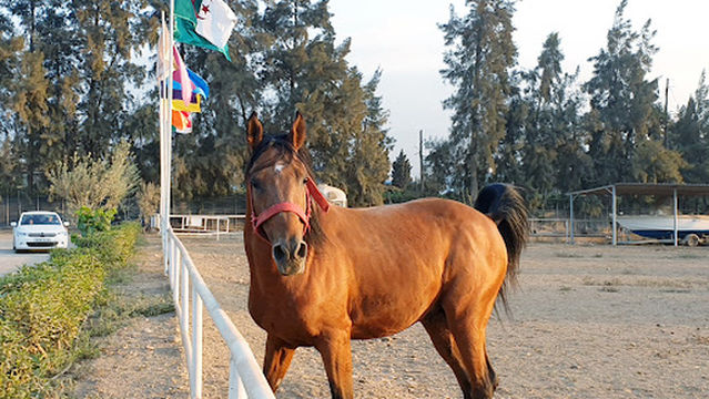 Club Equestre L'Hacienda